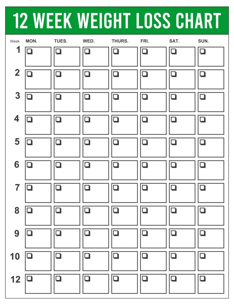 Weight Loss Program 10 Free PDF Printables Printablee