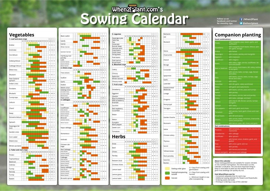 Free Printable Vegetable Planting Calendar Uk Pdf