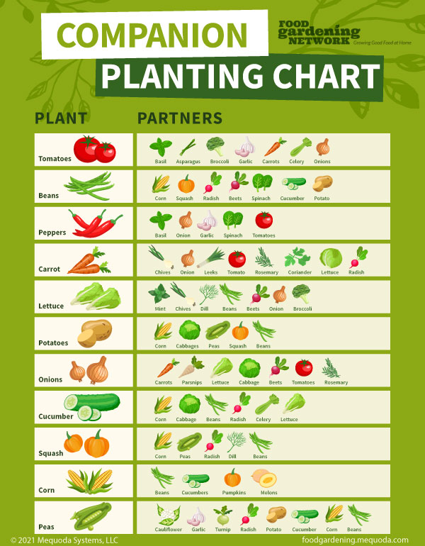 Free Printable Vegetable Planting Calendar Uk Pdf