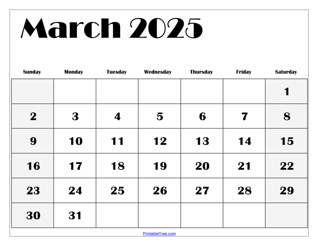 Printable Calendar March 2025 Printable Pdf Maxwell Sutton