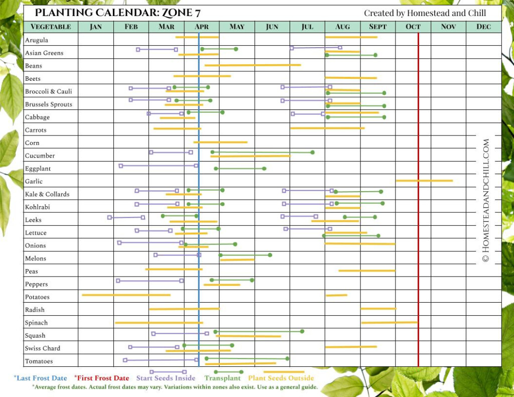 Printable Vegetable Planting Calendar Edithe Raeann
